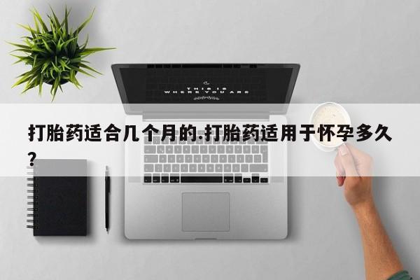 哪个网店有打胎药卖打胎药适合几个月的.打胎药适用于怀孕多久？