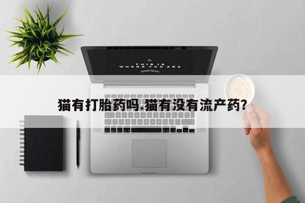 哪个网店有打胎药卖猫有打胎药吗.猫有没有流产药？