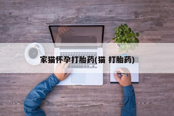 哪个网店有打胎药卖家猫怀孕打胎药(猫 打胎药)