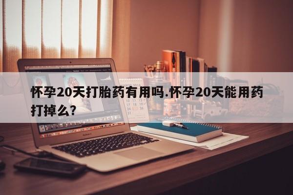 哪个网店有打胎药卖怀孕20天打胎药有用吗.怀孕20天能用药打掉么？